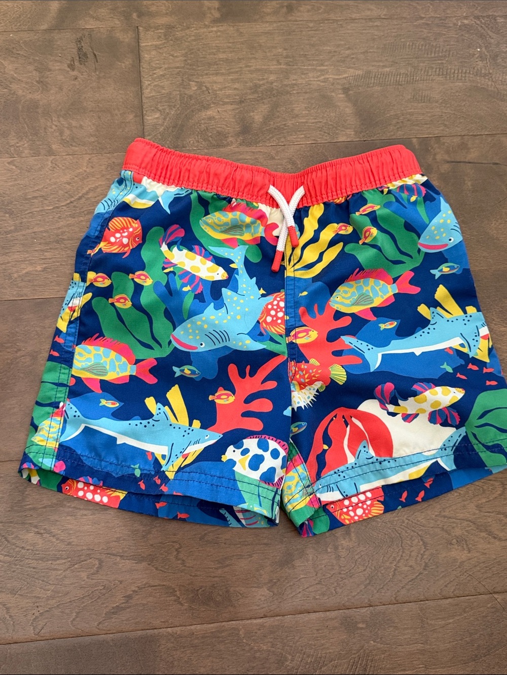 Mini Boden Multicolor Shark & Reef Swim Shorts with Red Waistband
